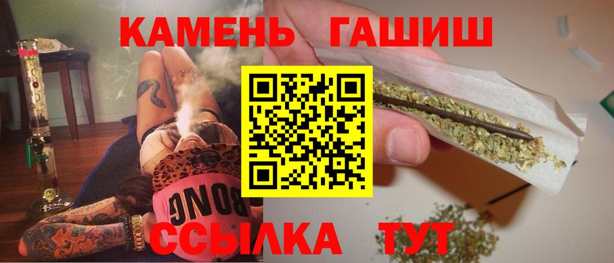 ГАШ Premium Новодвинск