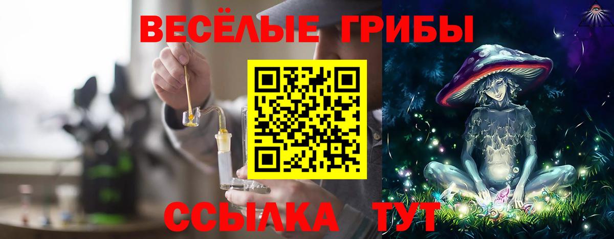 Новодвинск  Псилоцибиновые грибы Cubensis  Вход с VPN  Галлюциногенные грибы Cubensis 
